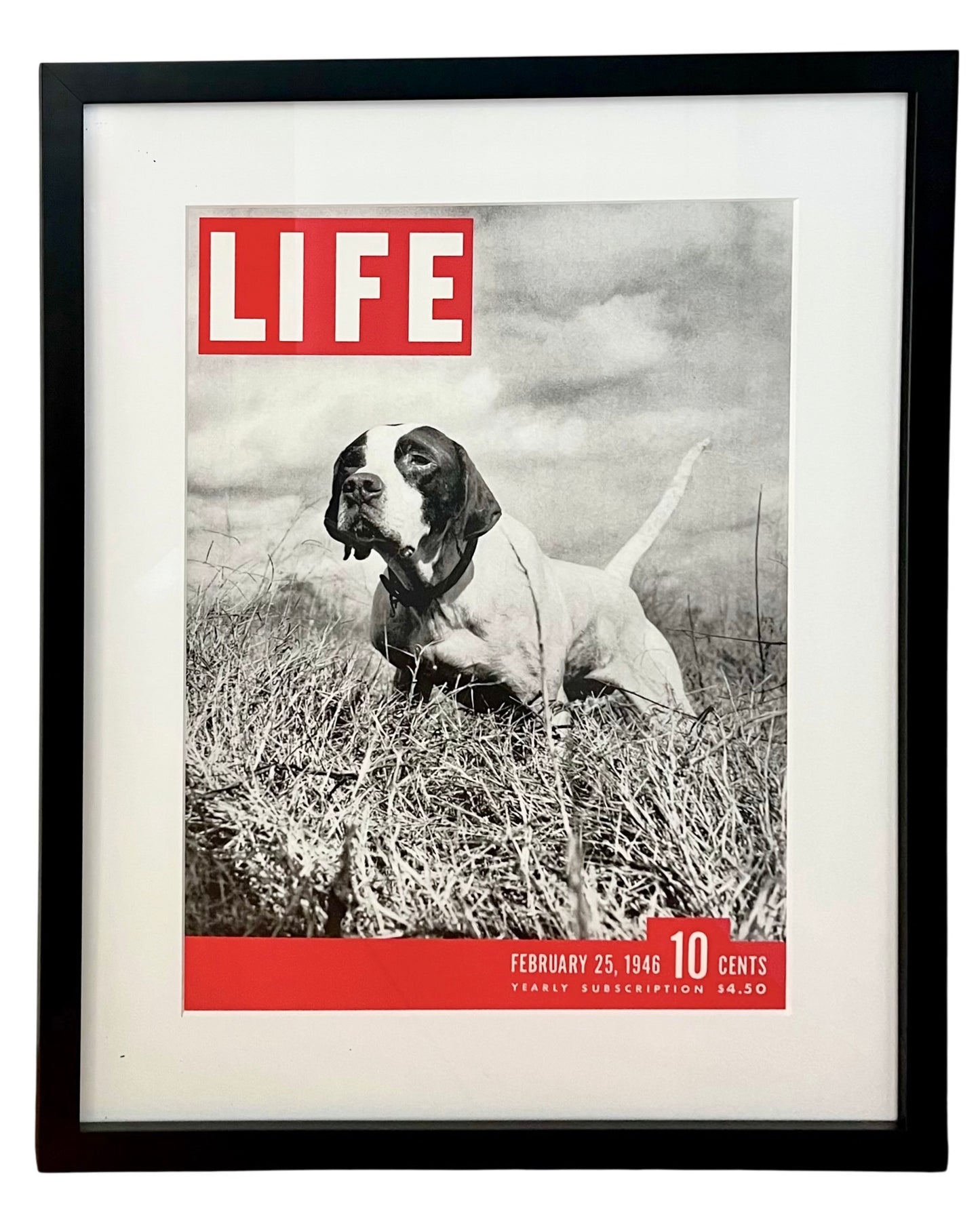 Life Cover Print