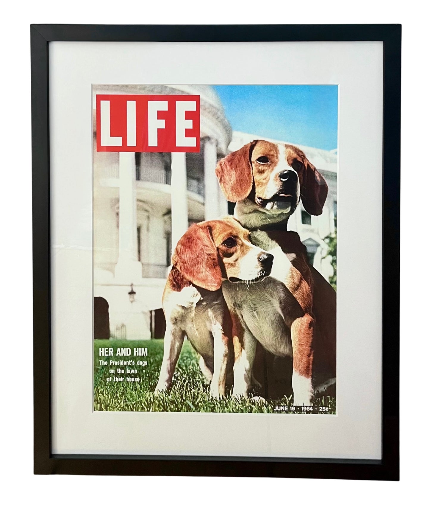 Life Cover Print