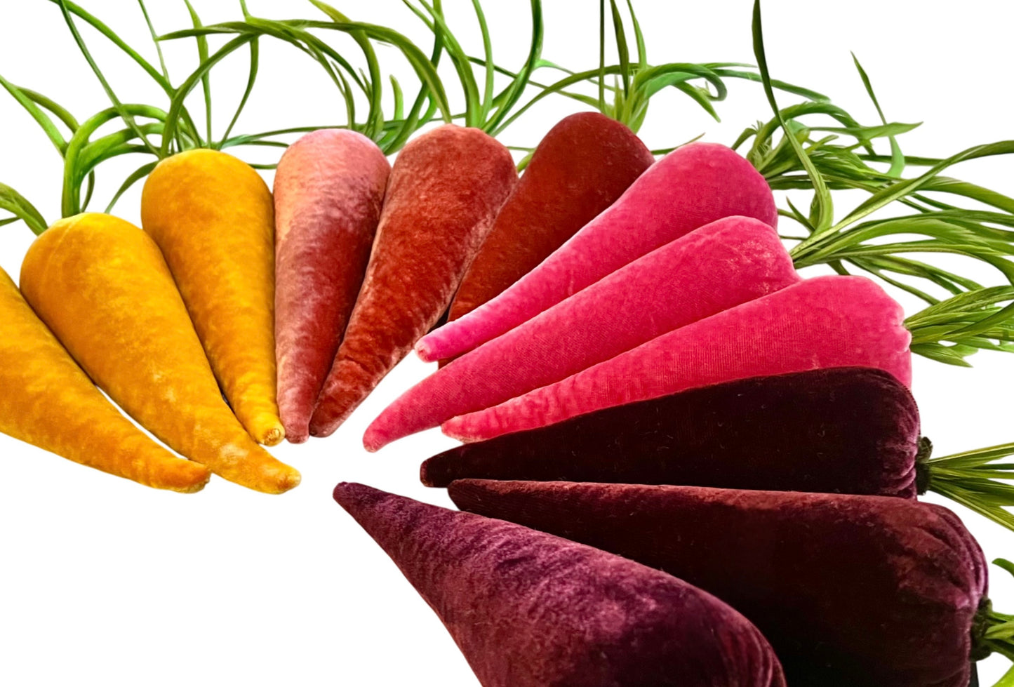 Carrot- rhubarb