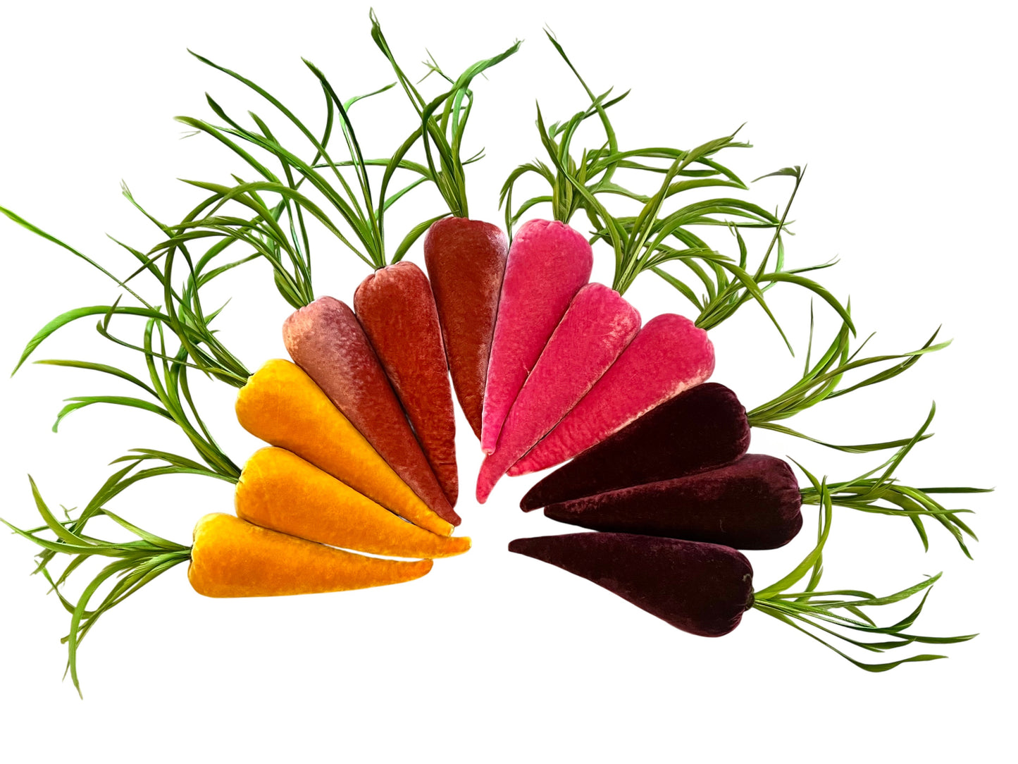 Carrot- rhubarb
