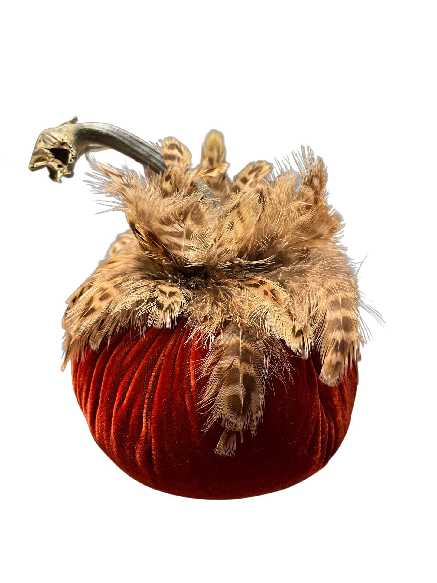 Feathered Velvet Pumpkin