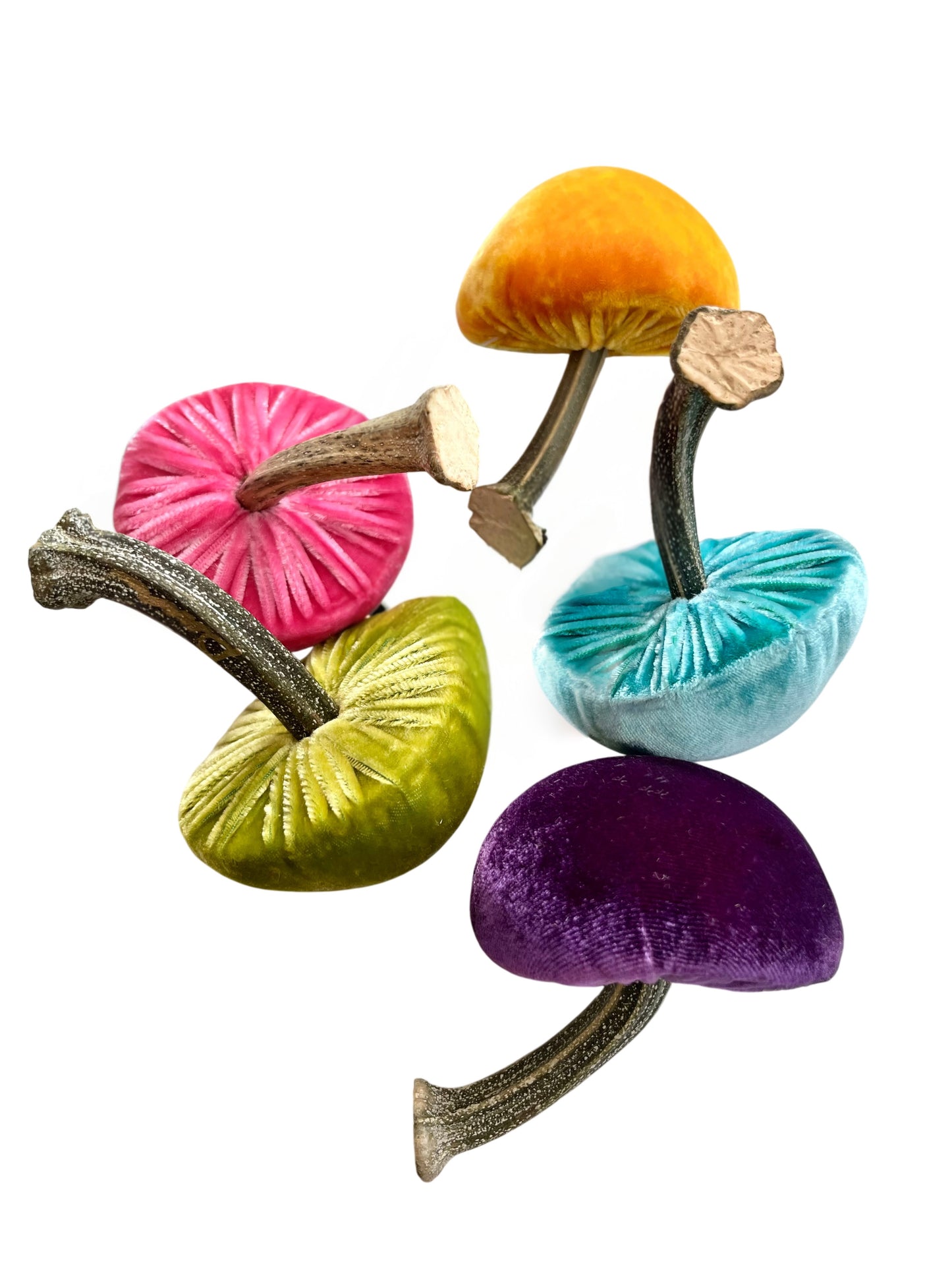 Mushroom- carrot