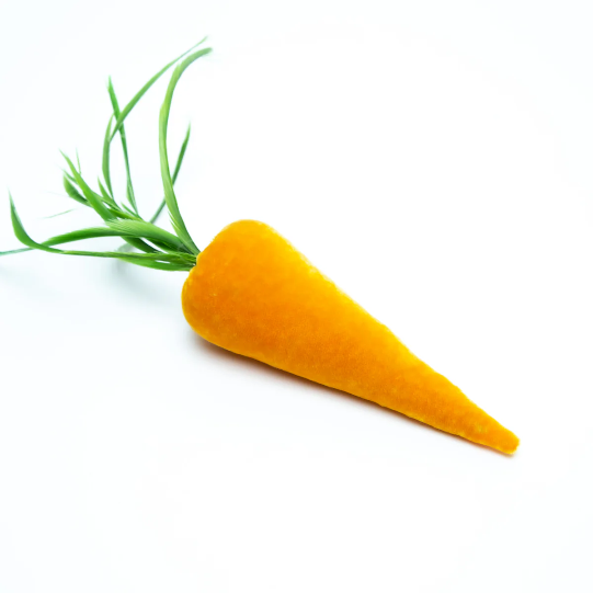 Carrot- carrot