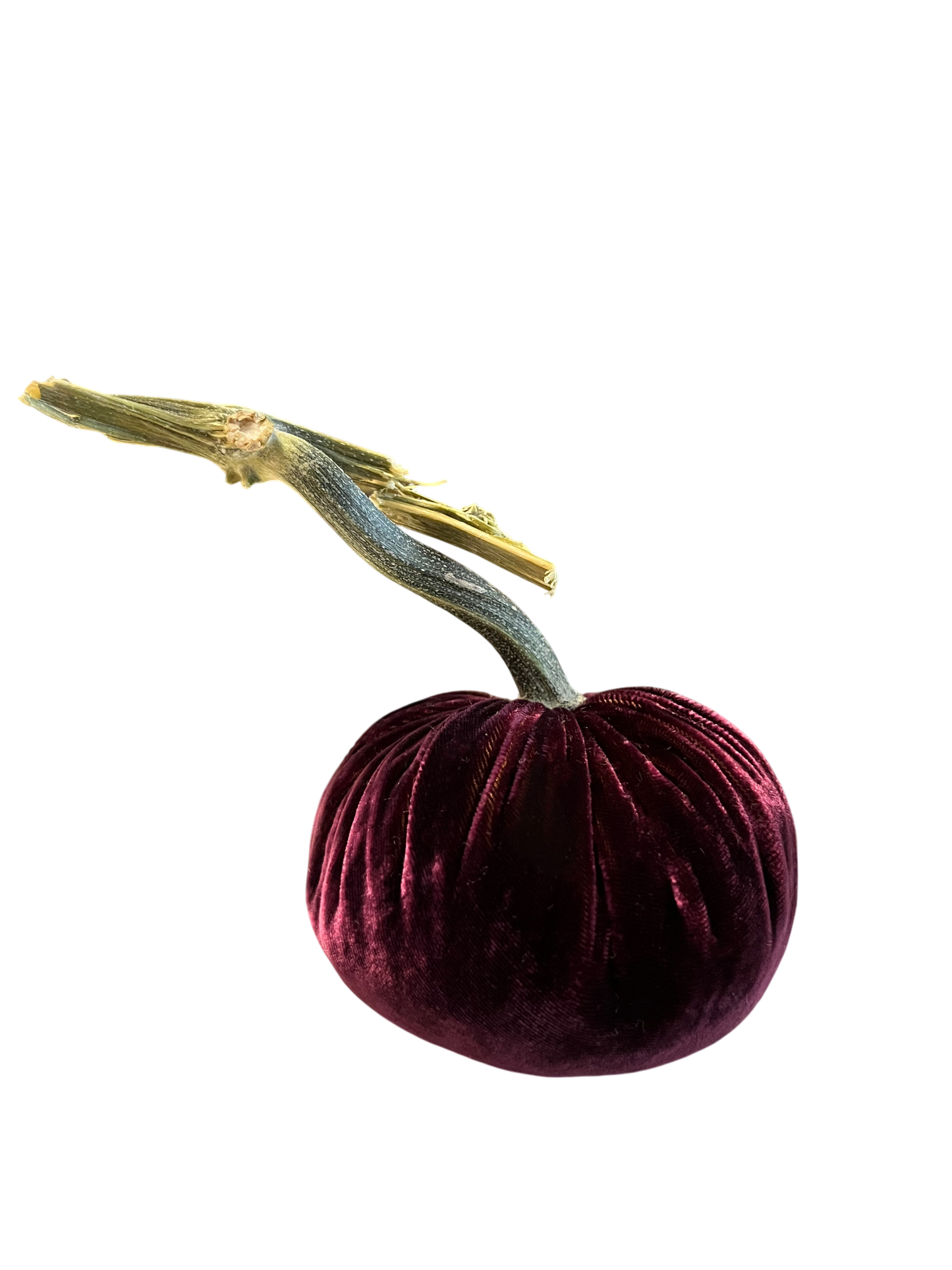 Velvet Pumpkin