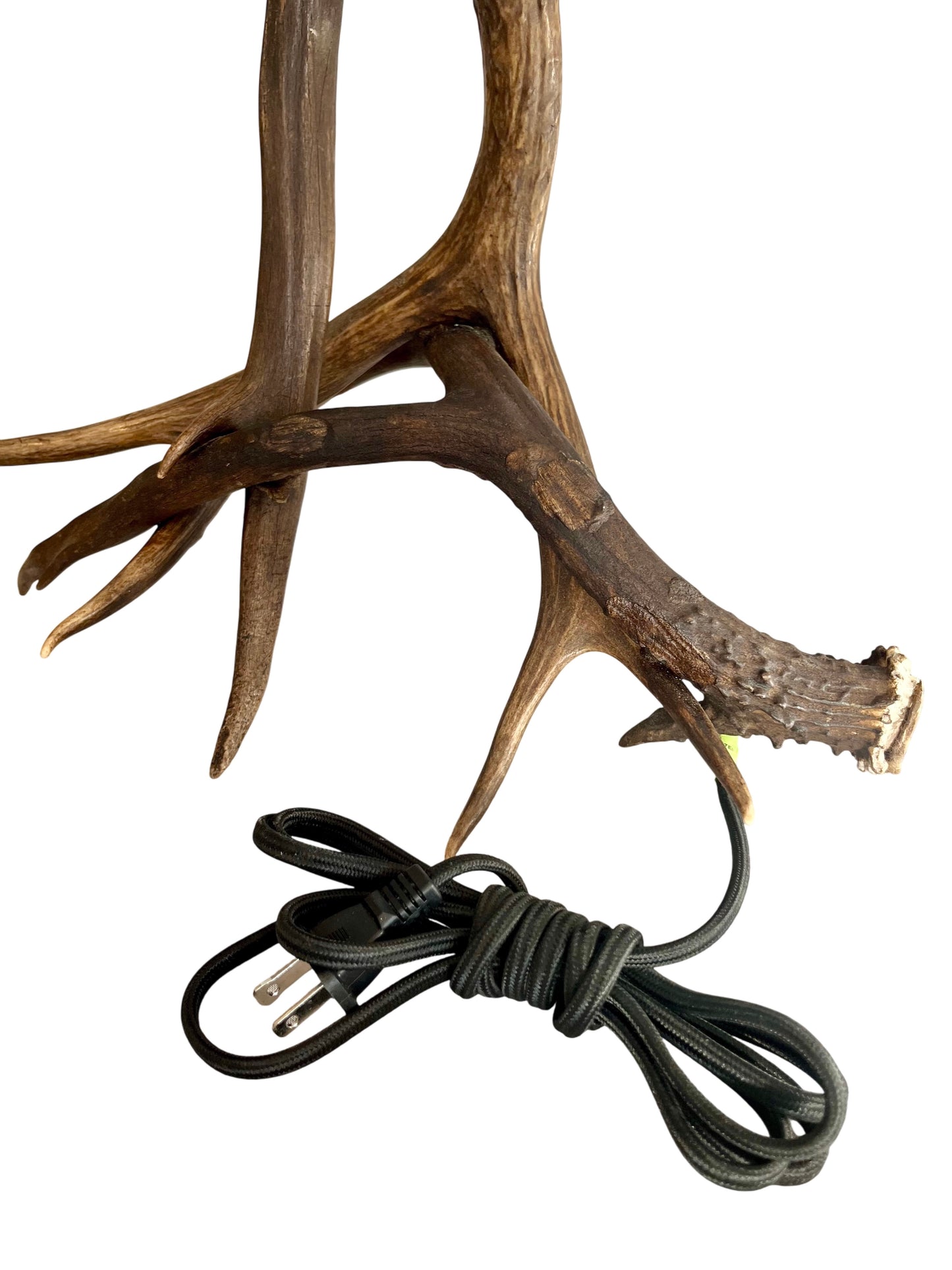 Antler Lamp Base