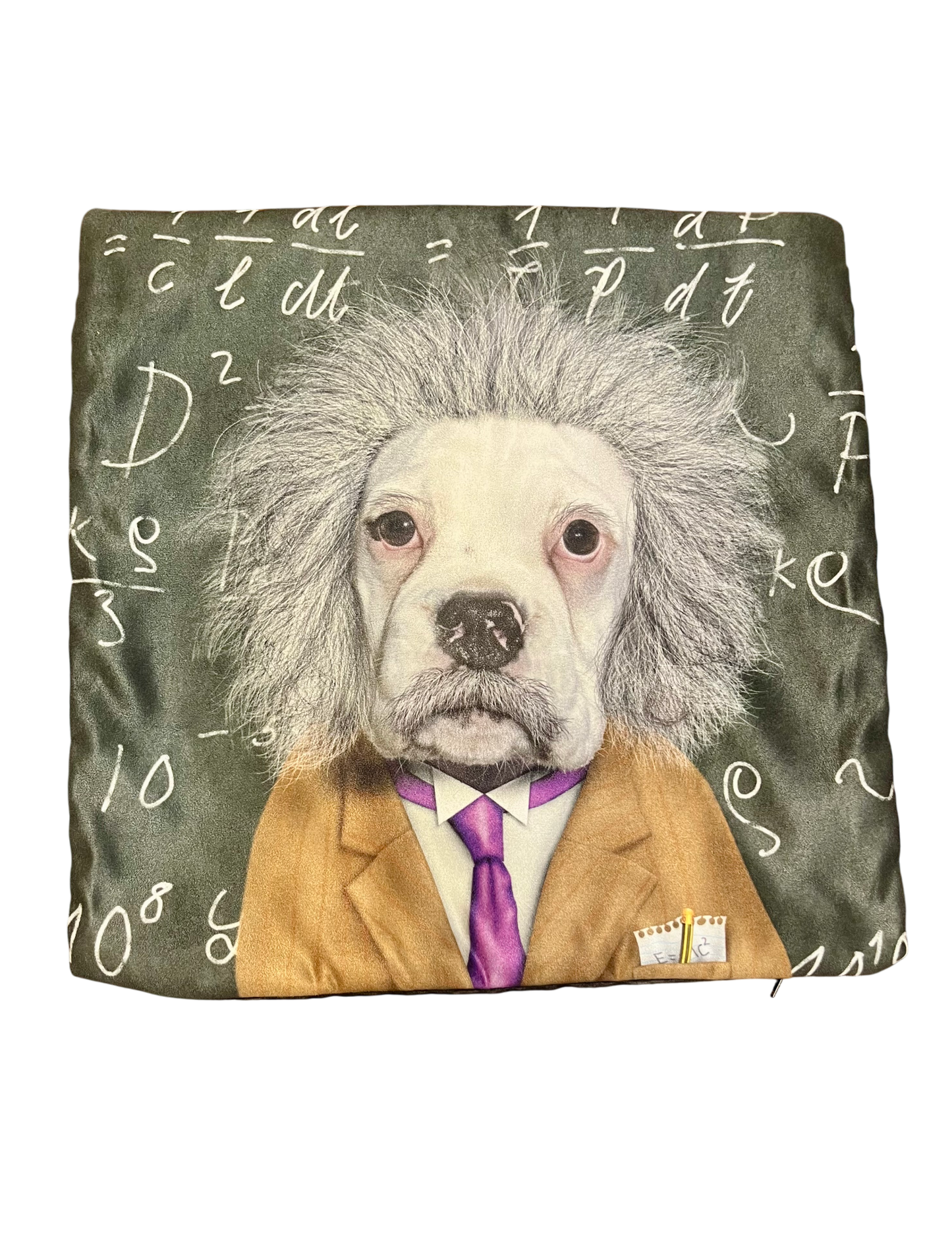 Einstein Dog Pillow Cover