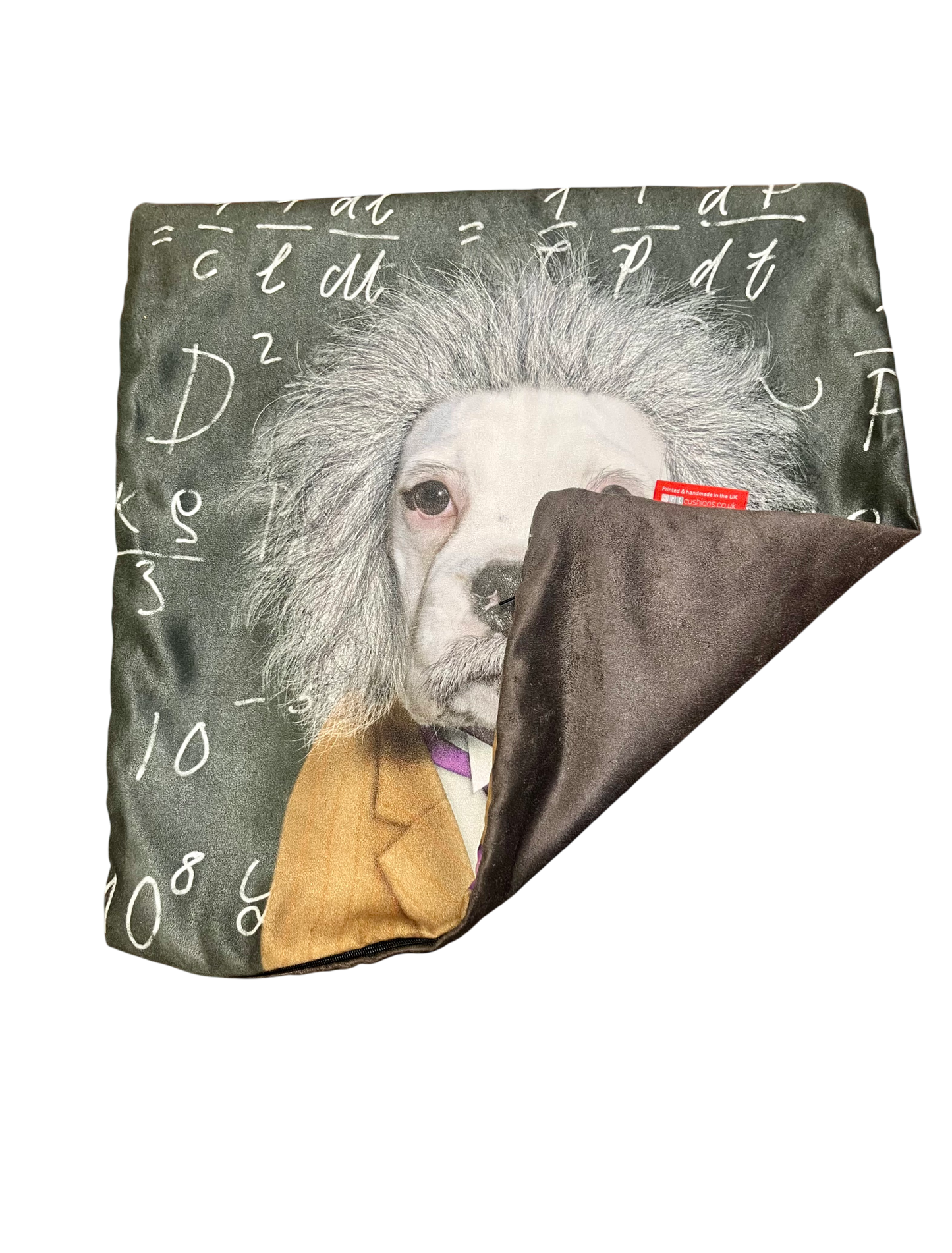 Einstein Dog Pillow Cover