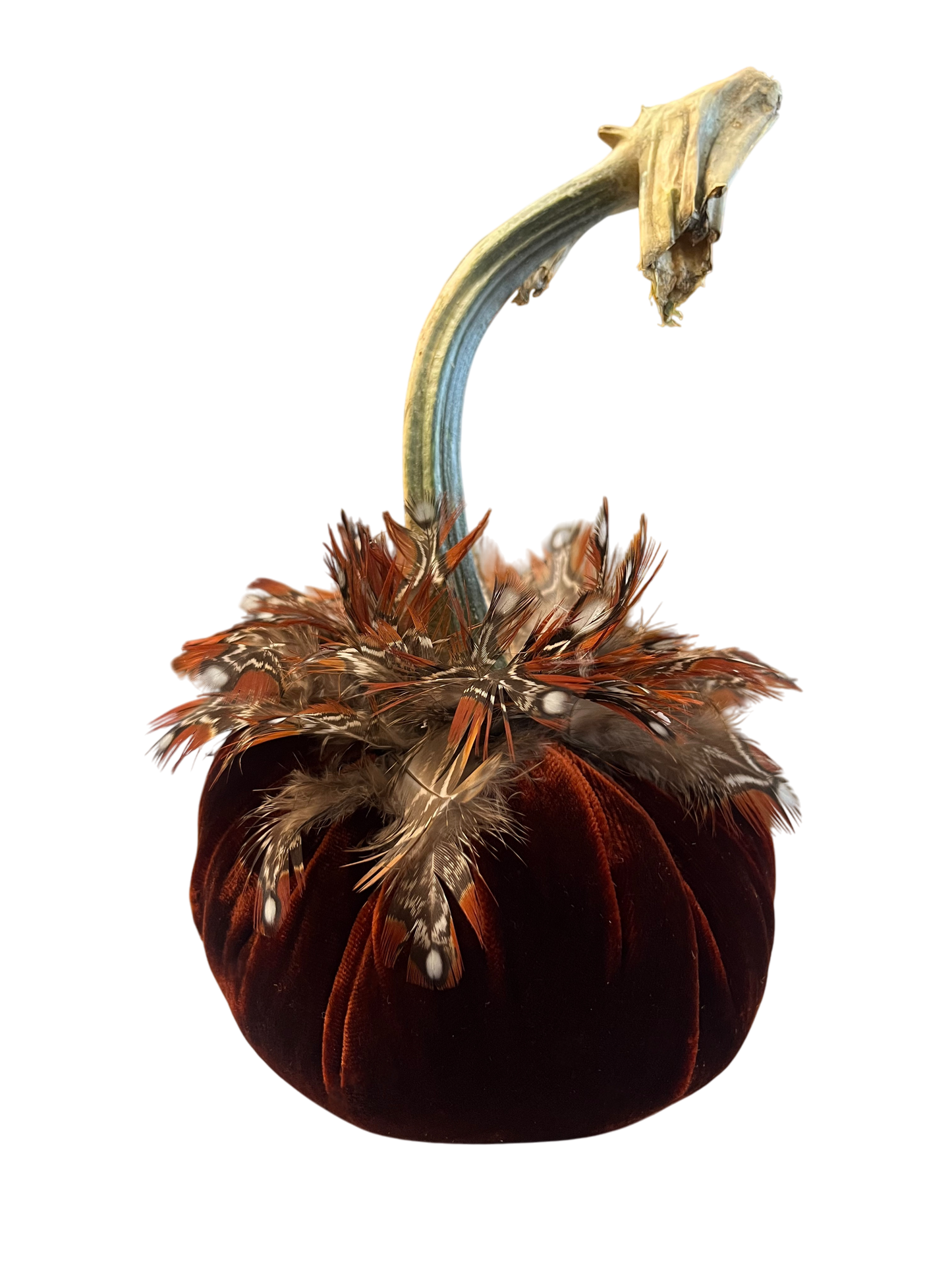 Feathered Velvet Pumpkin