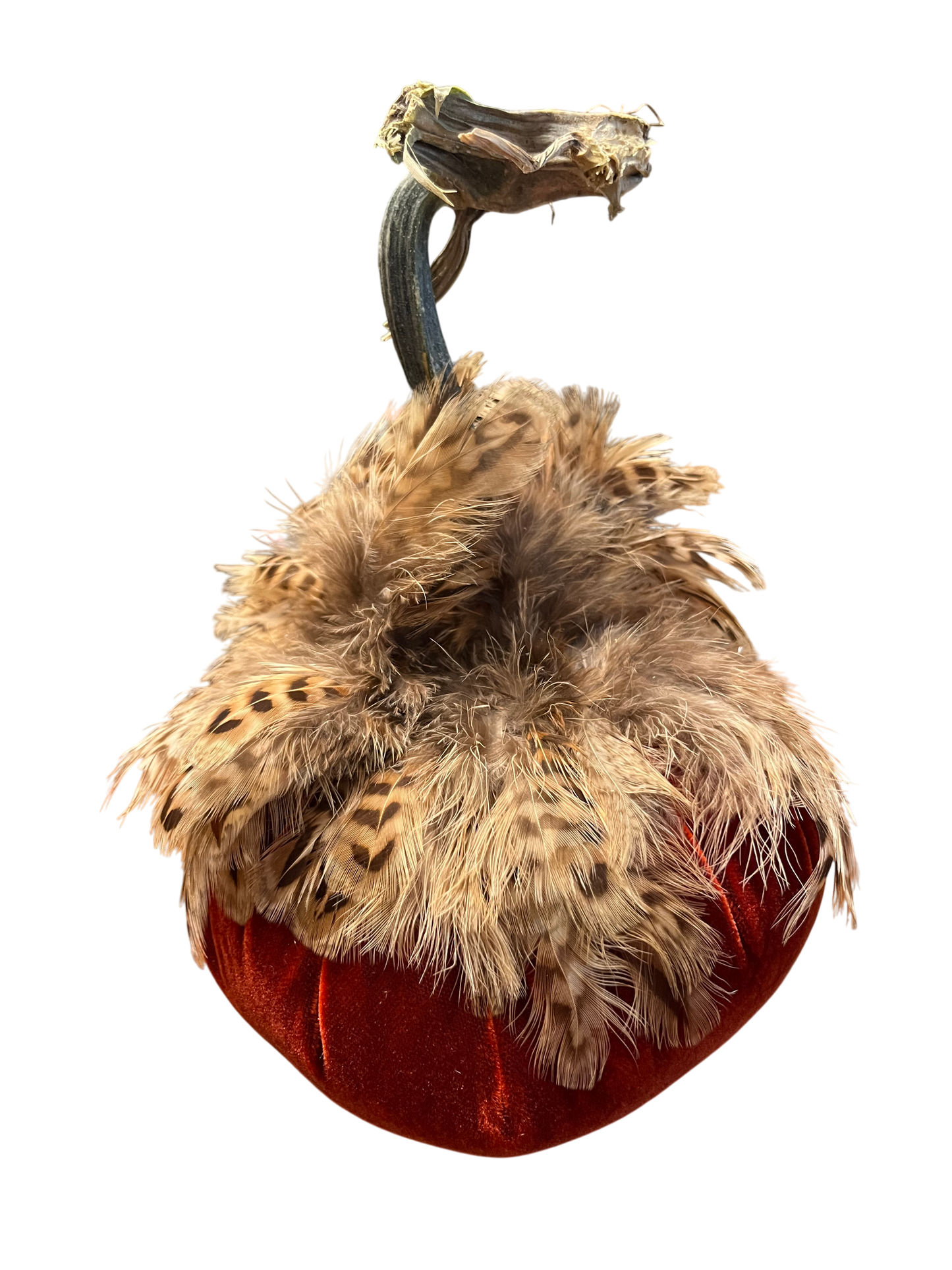 Feathered Velvet Pumpkin