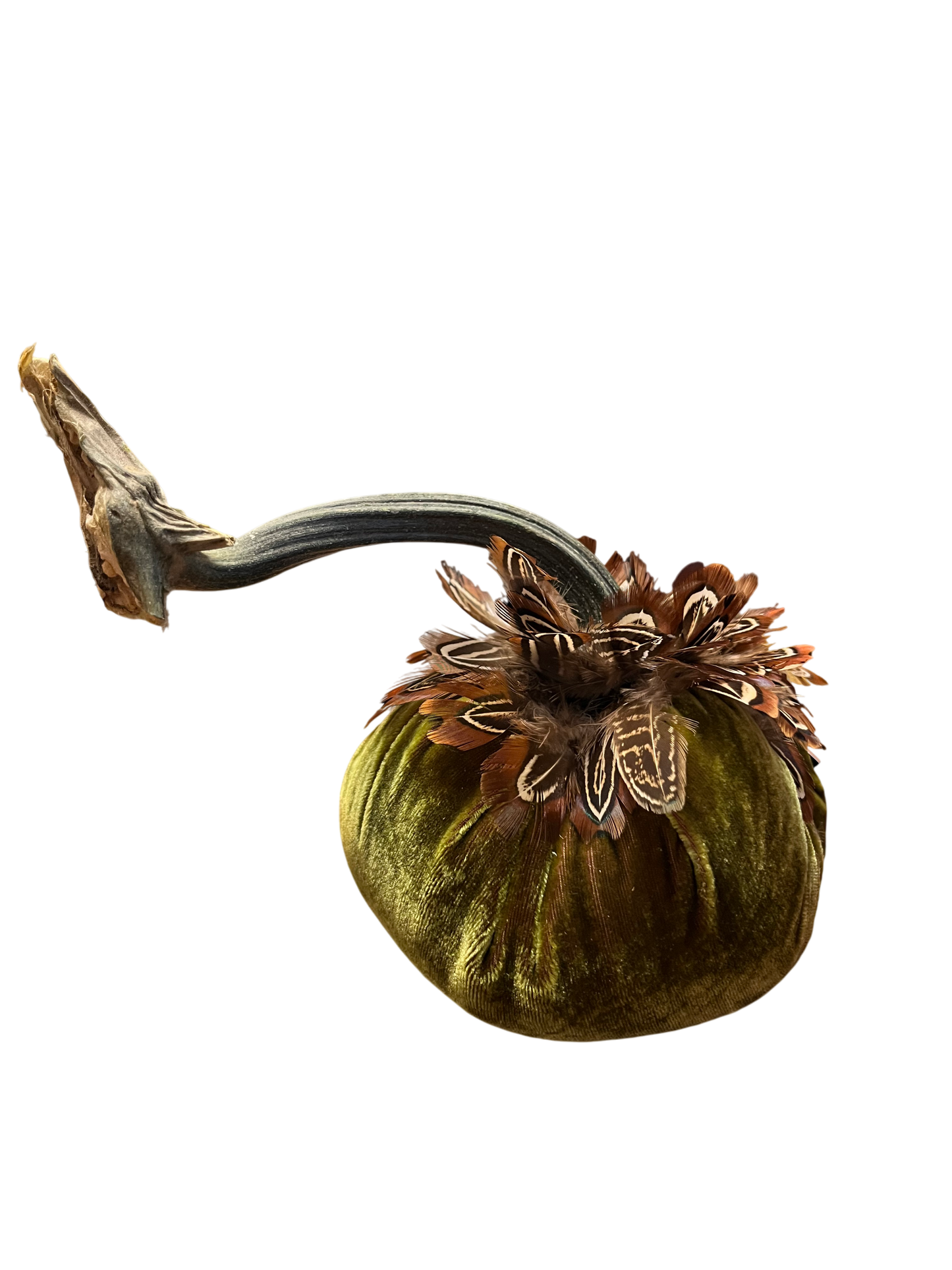 Feathered Velvet Pumpkin