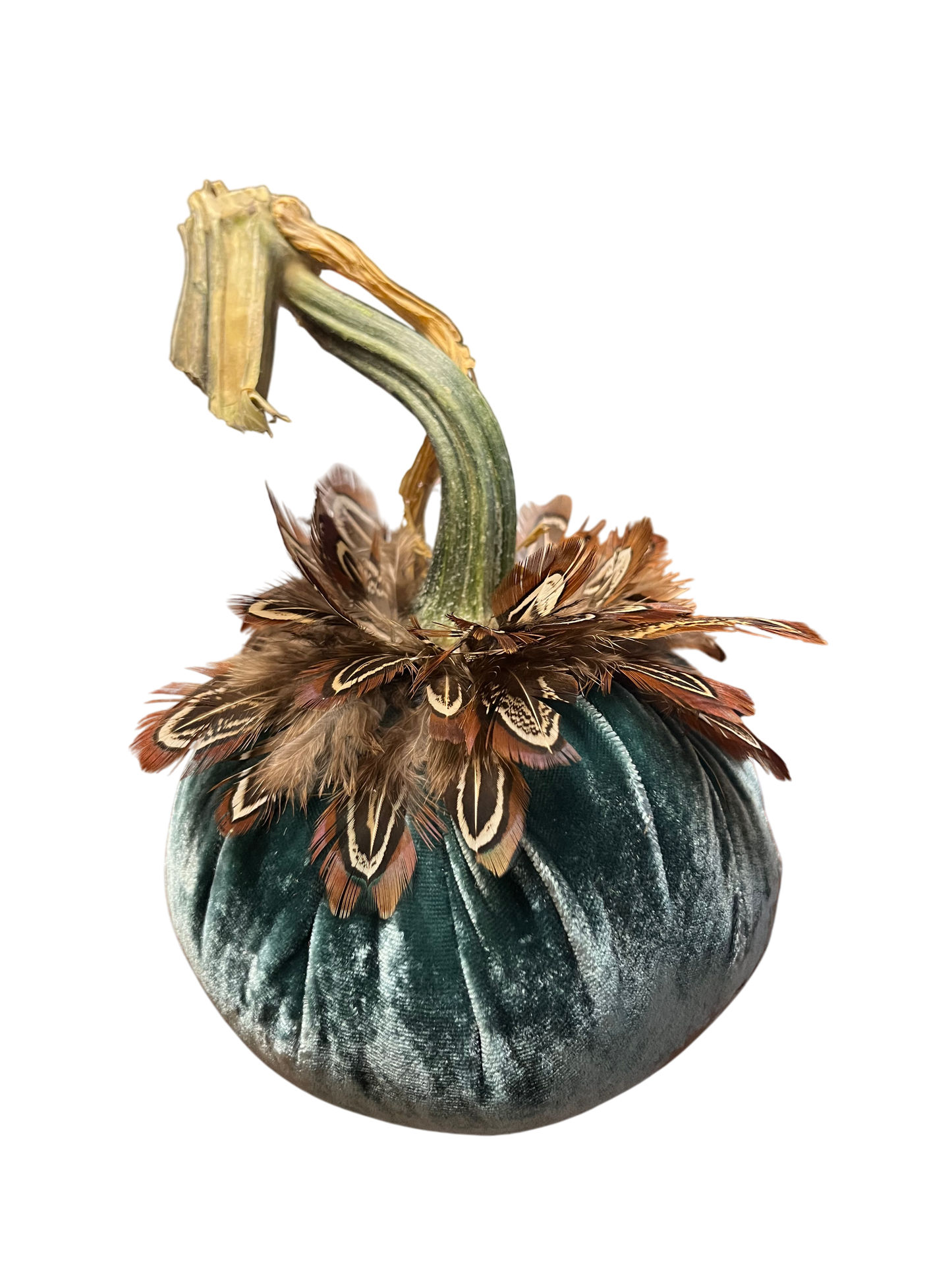 Feathered Velvet Pumpkin
