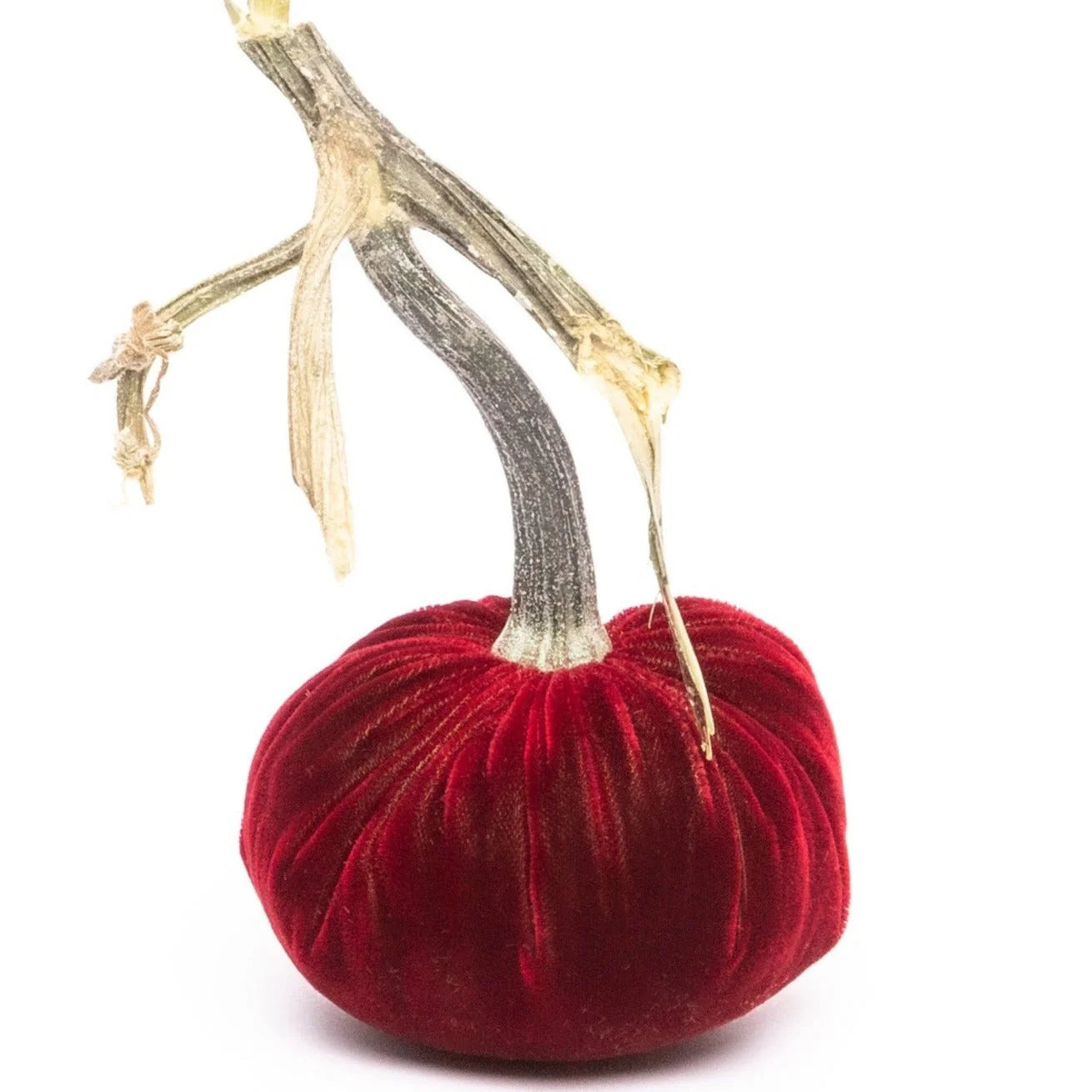 Velvet Pumpkin