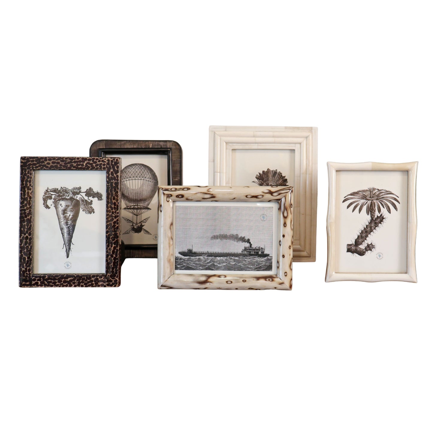 Novara, natural frame, bone 5" x 7"