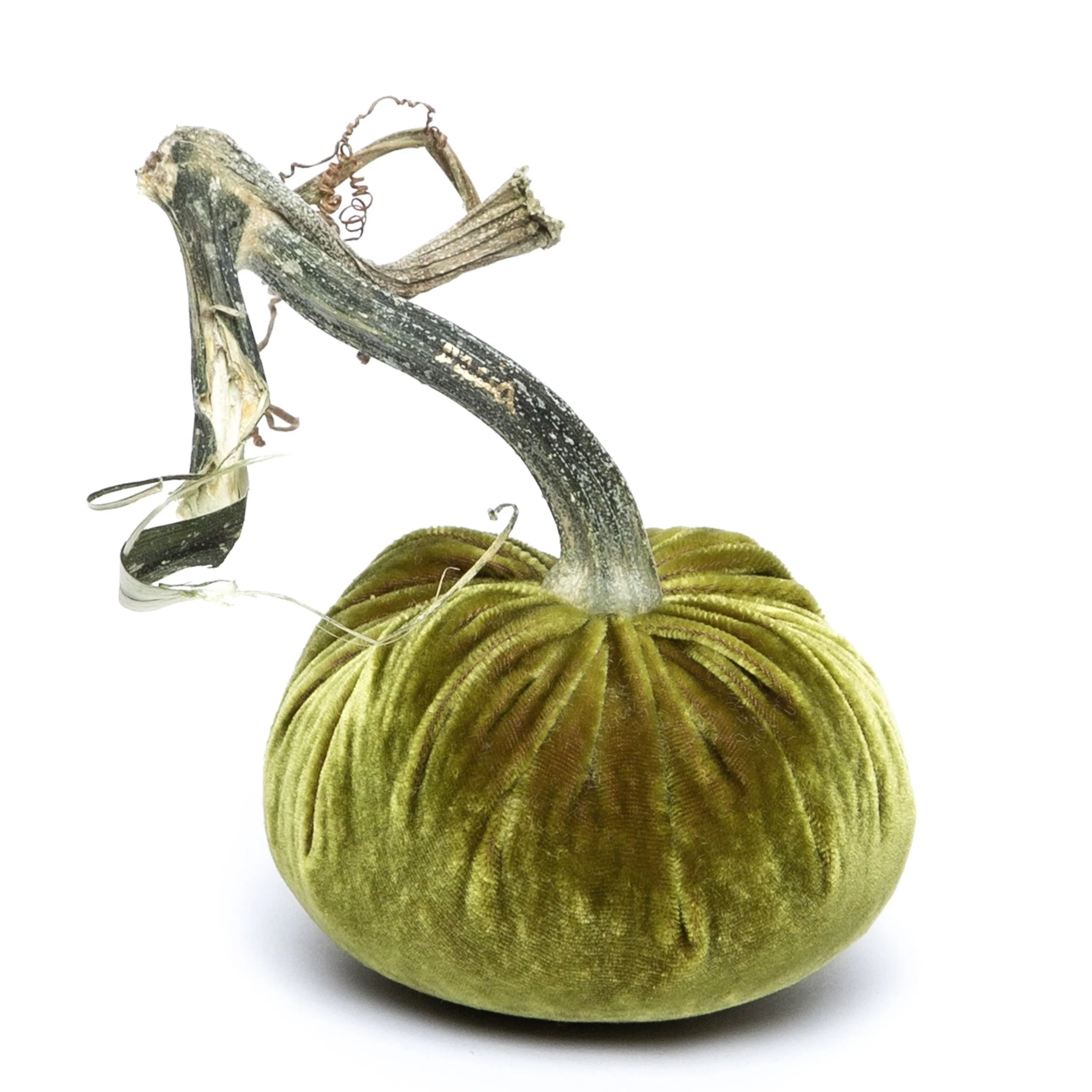 Velvet Pumpkin