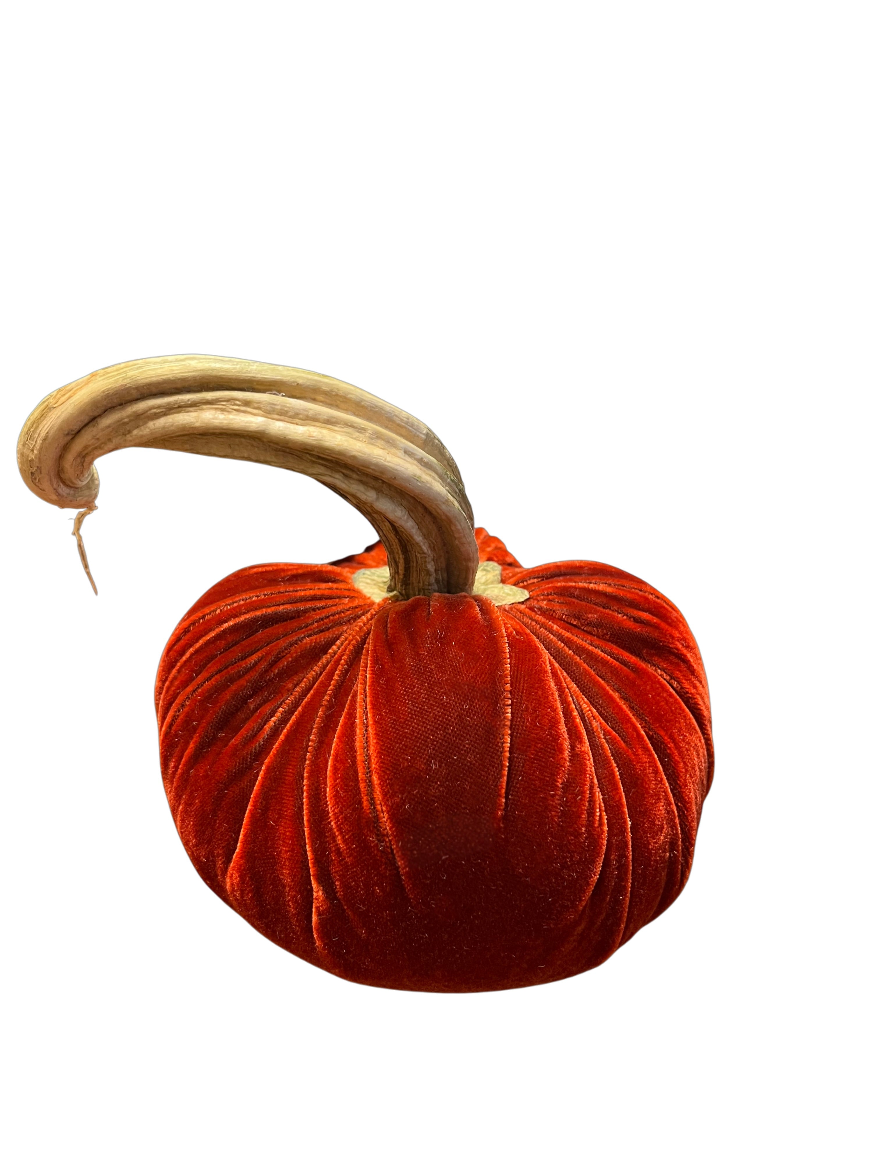 Velvet Pumpkin
