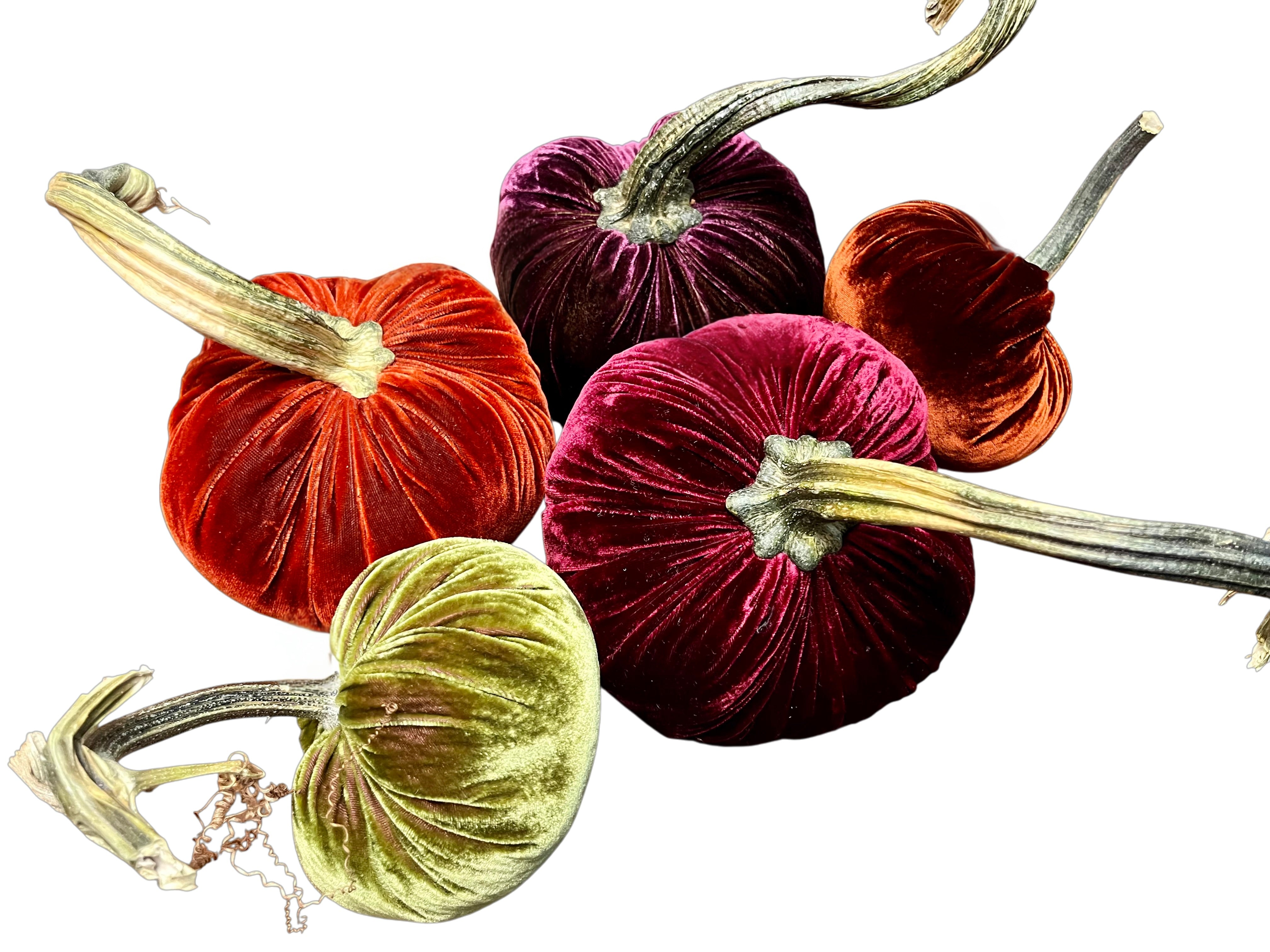 Velvet Pumpkin