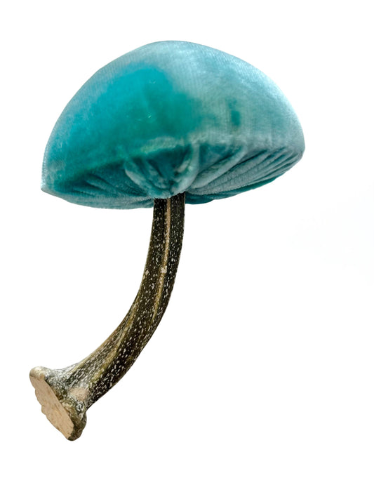 Mushroom, mermaid