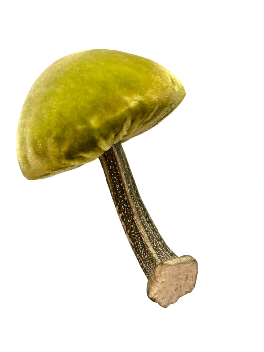 Mushroom- chartreuse