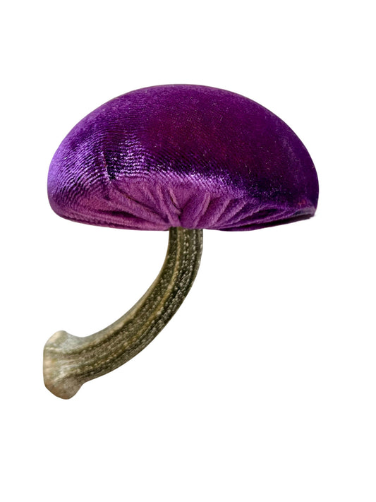 Mushroom, violet