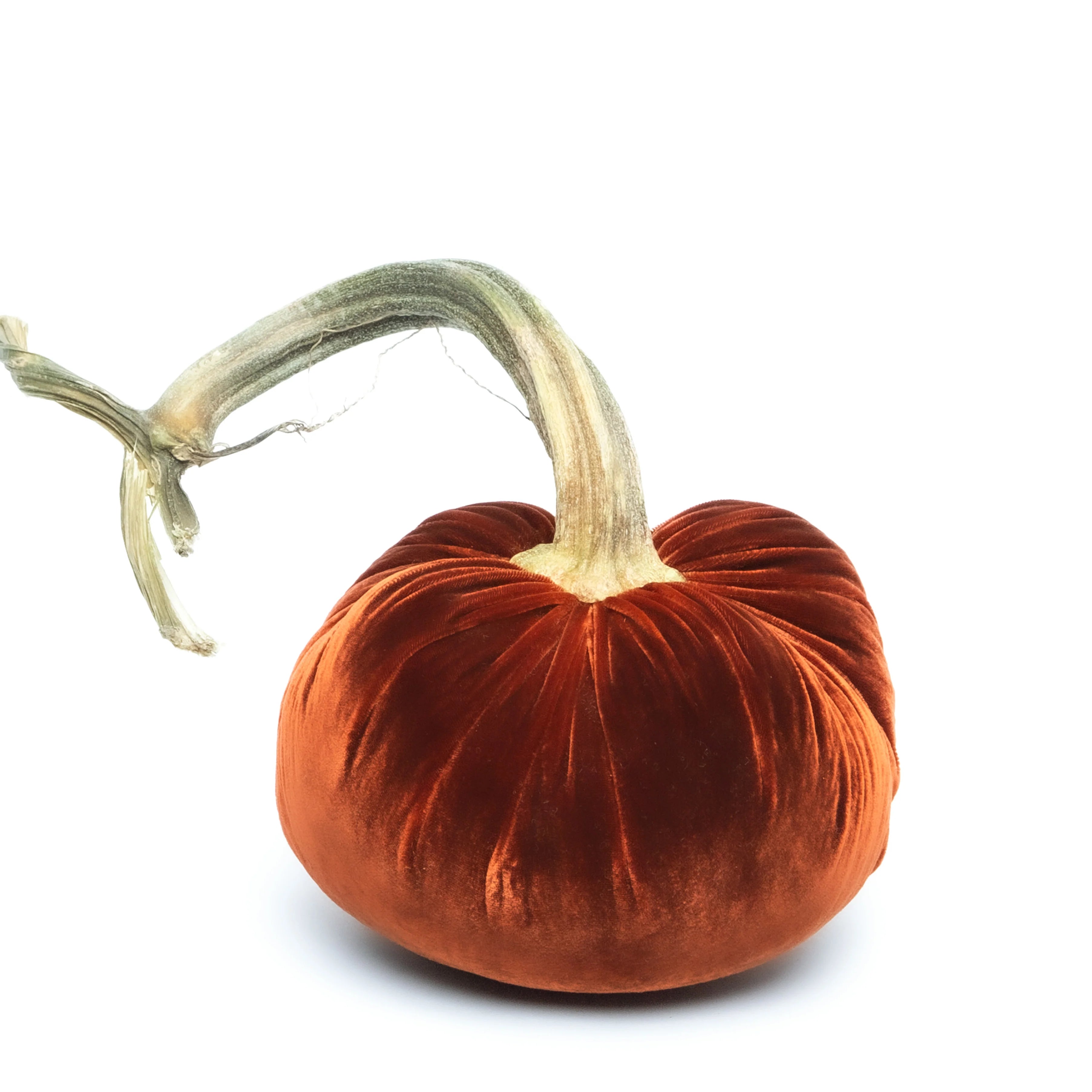 Velvet Pumpkin