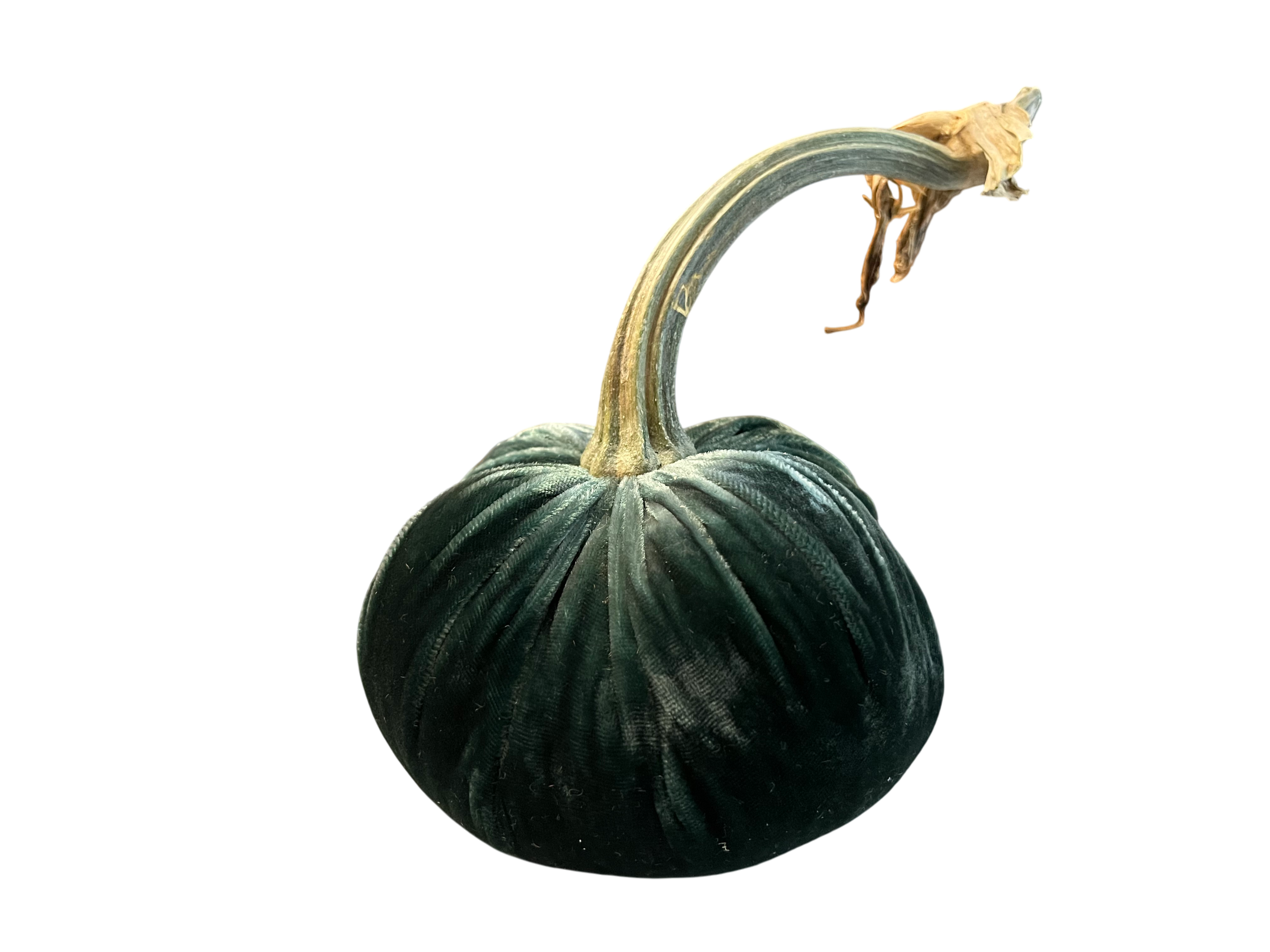 Velvet Pumpkin