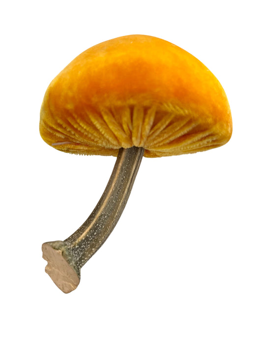 Mushroom- carrot