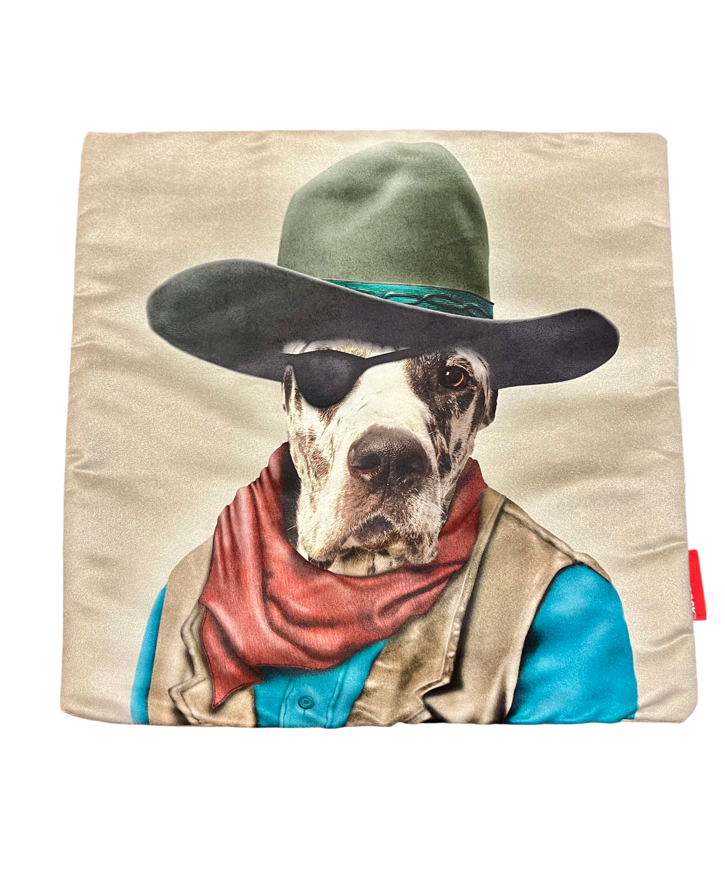 Outlaw Dog Pillow Cover