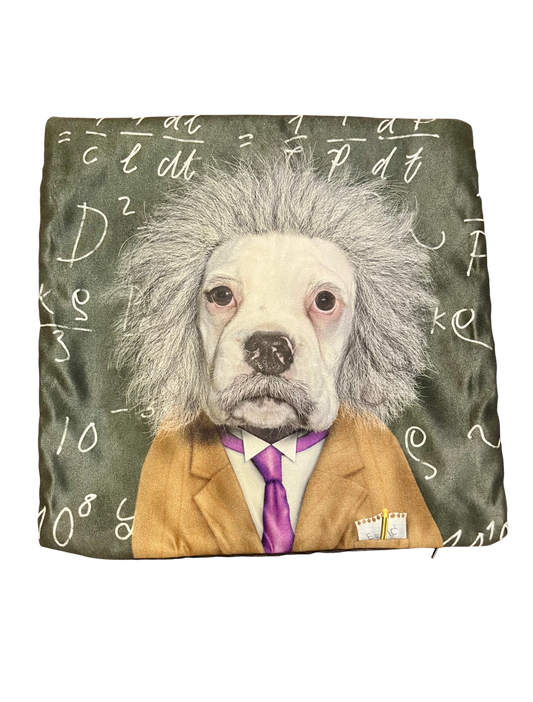 Einstein Dog Pillow