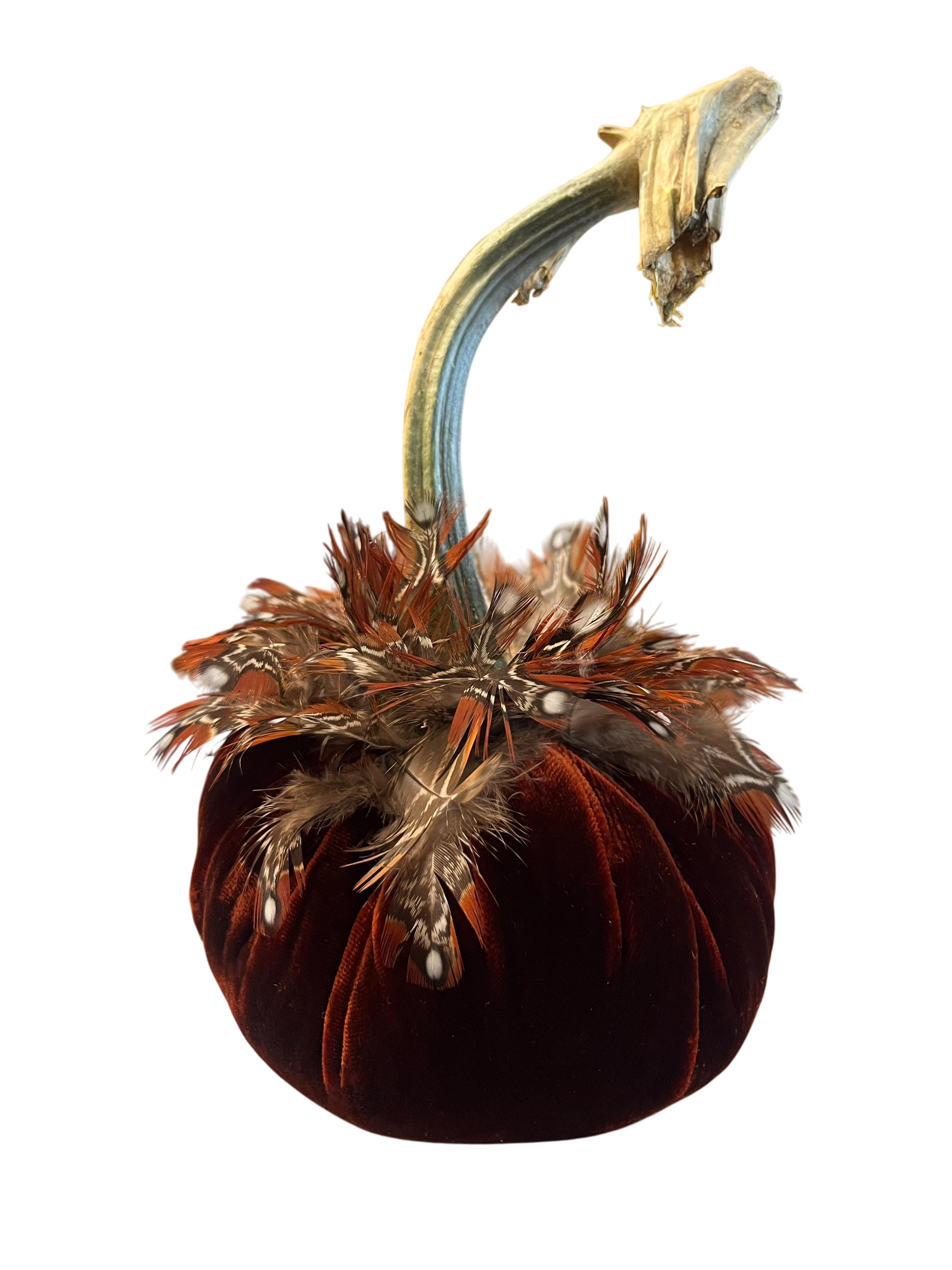 Feathered Velvet Pumpkin