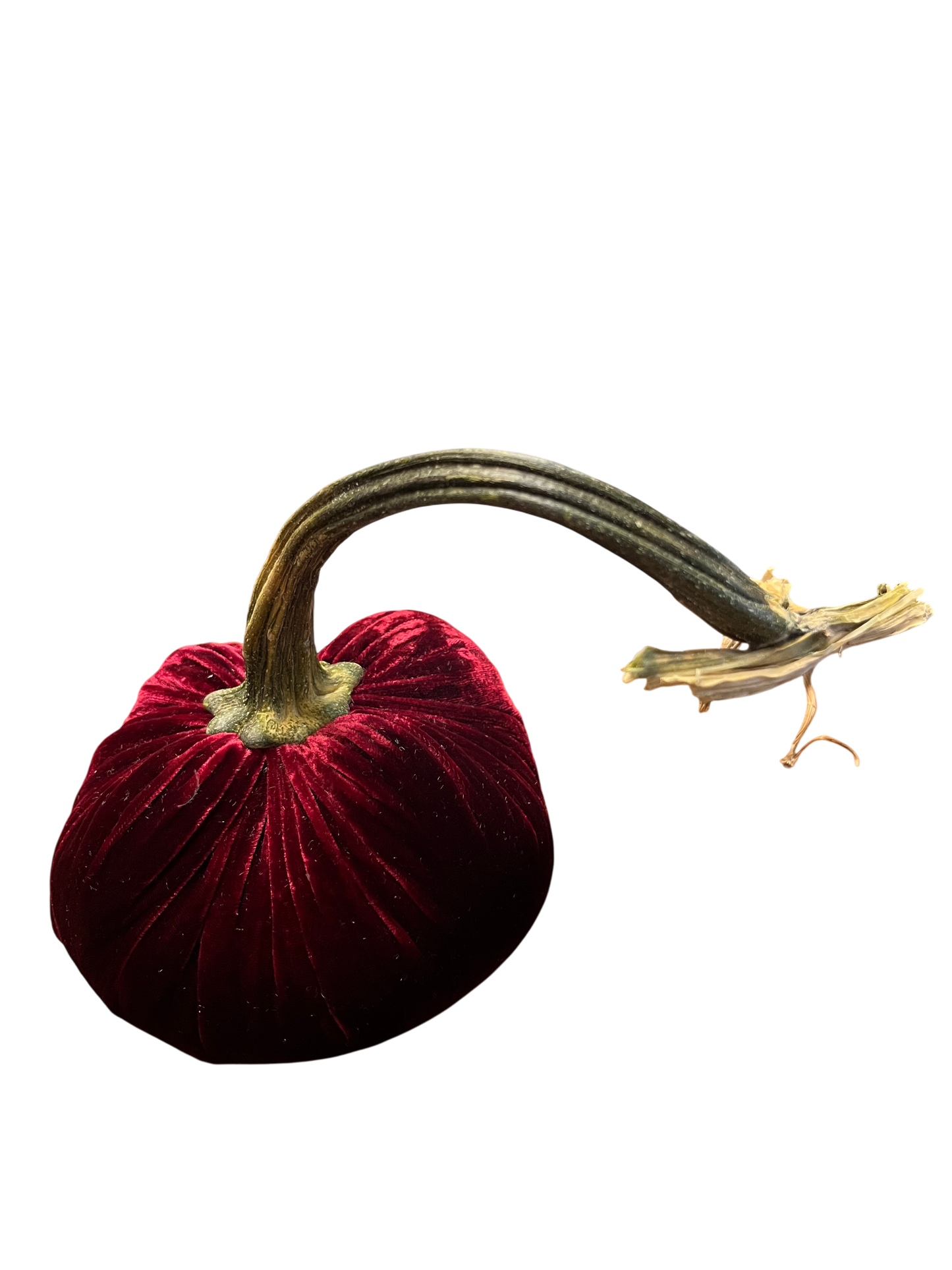 Velvet Pumpkin