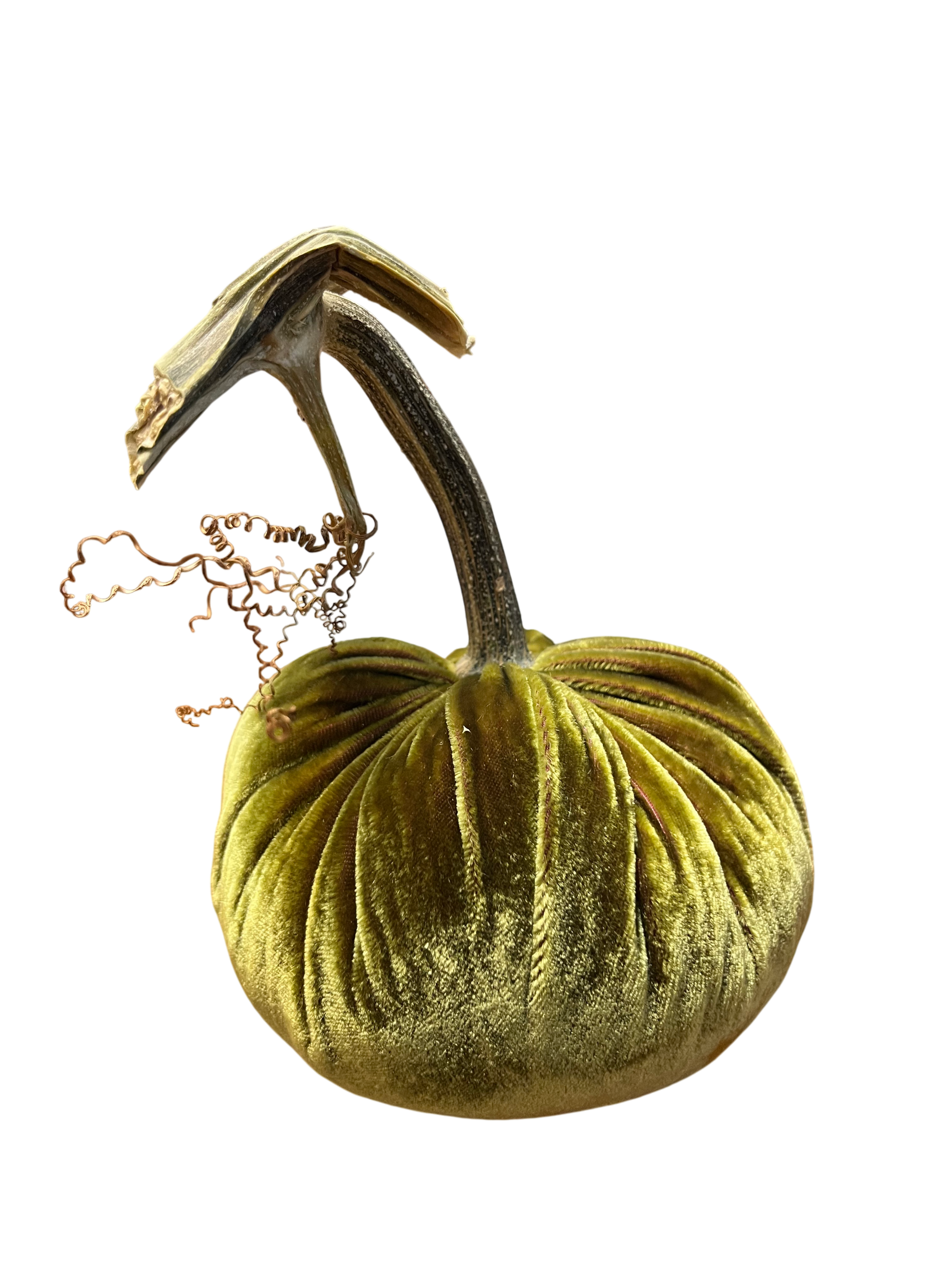 Velvet Pumpkin