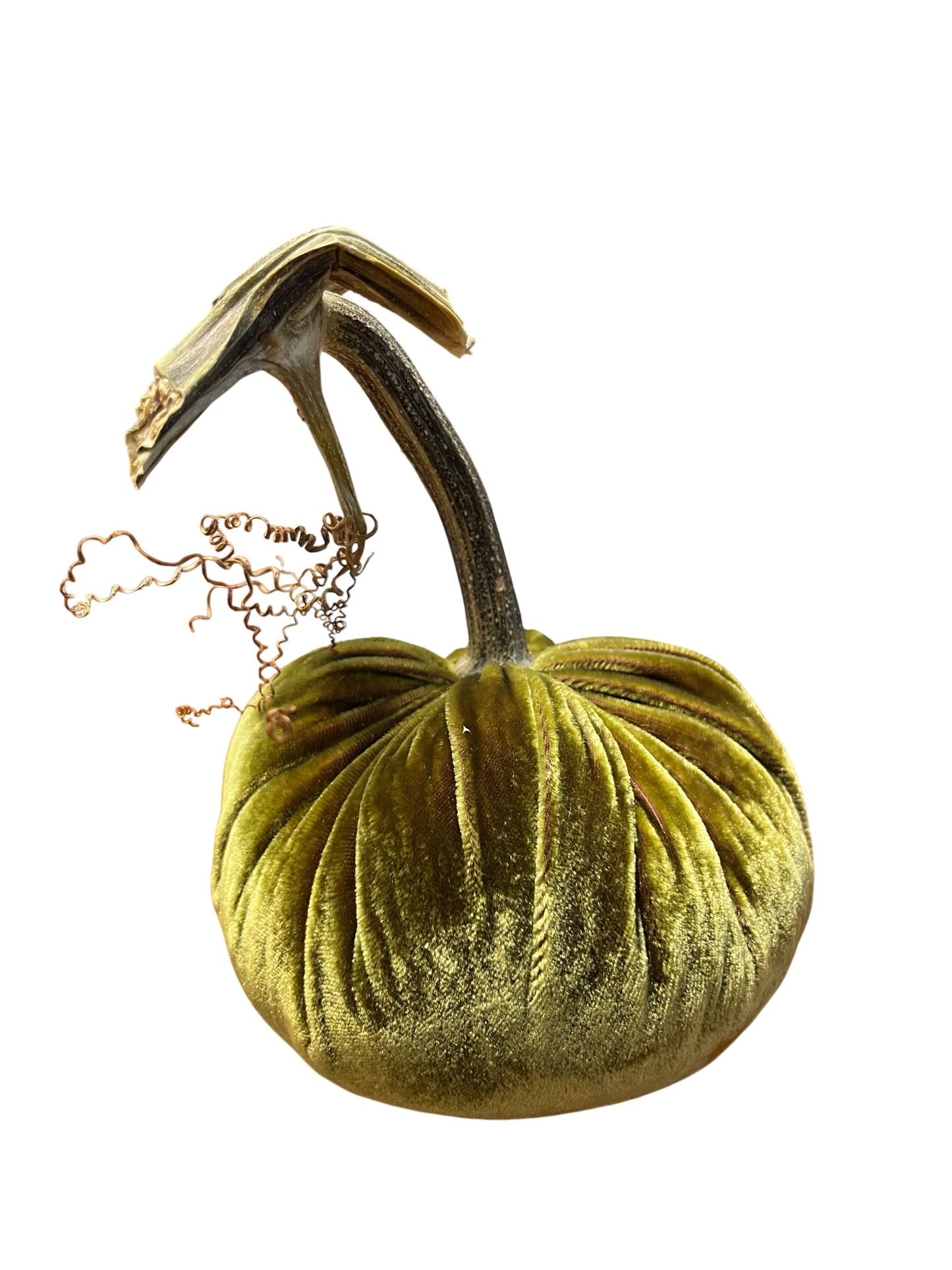 Velvet Pumpkin