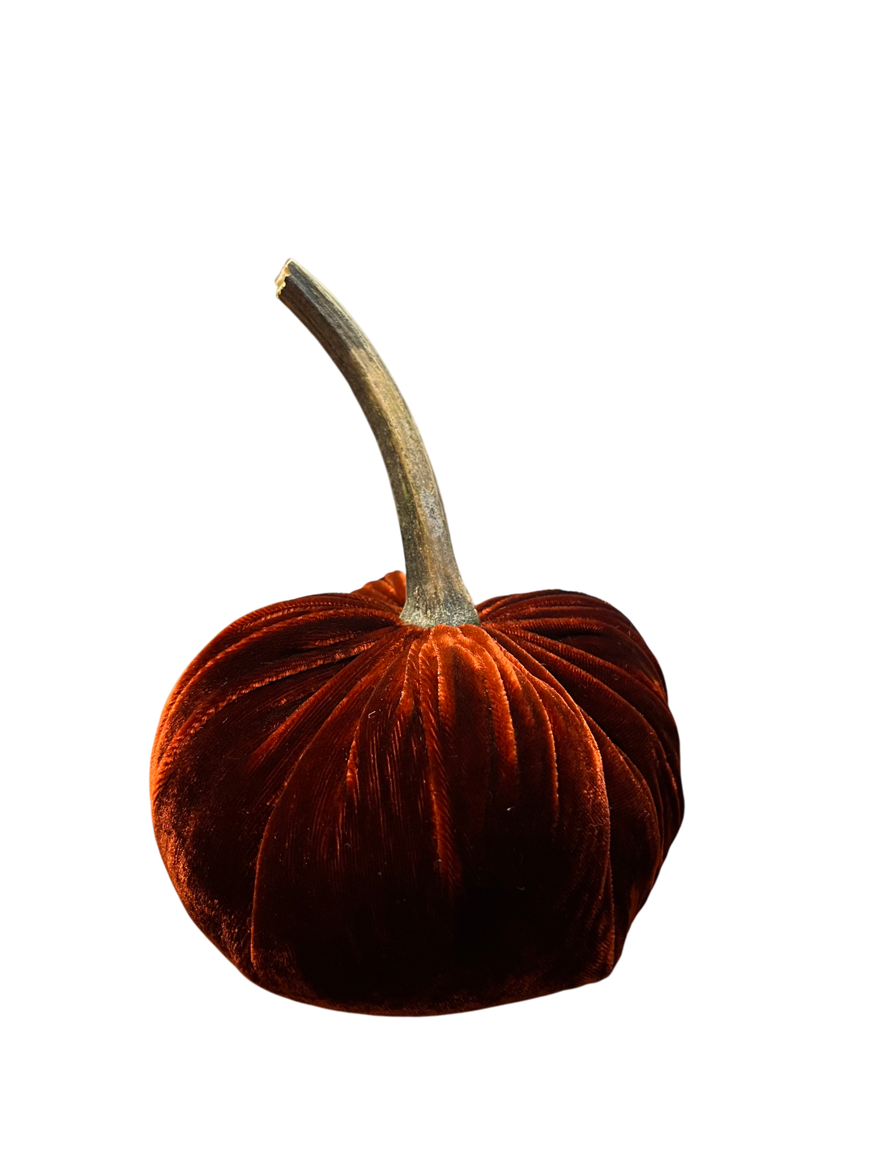 Velvet Pumpkin