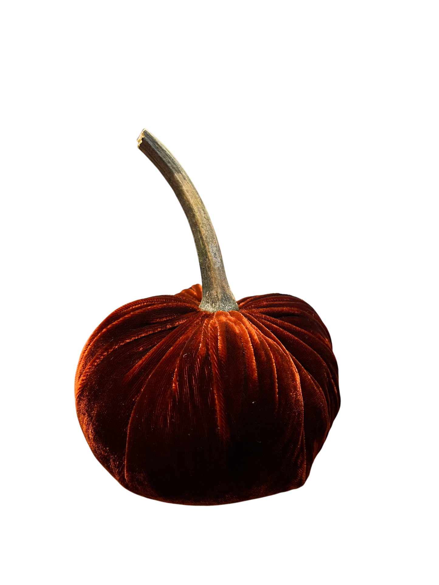 Velvet Pumpkin