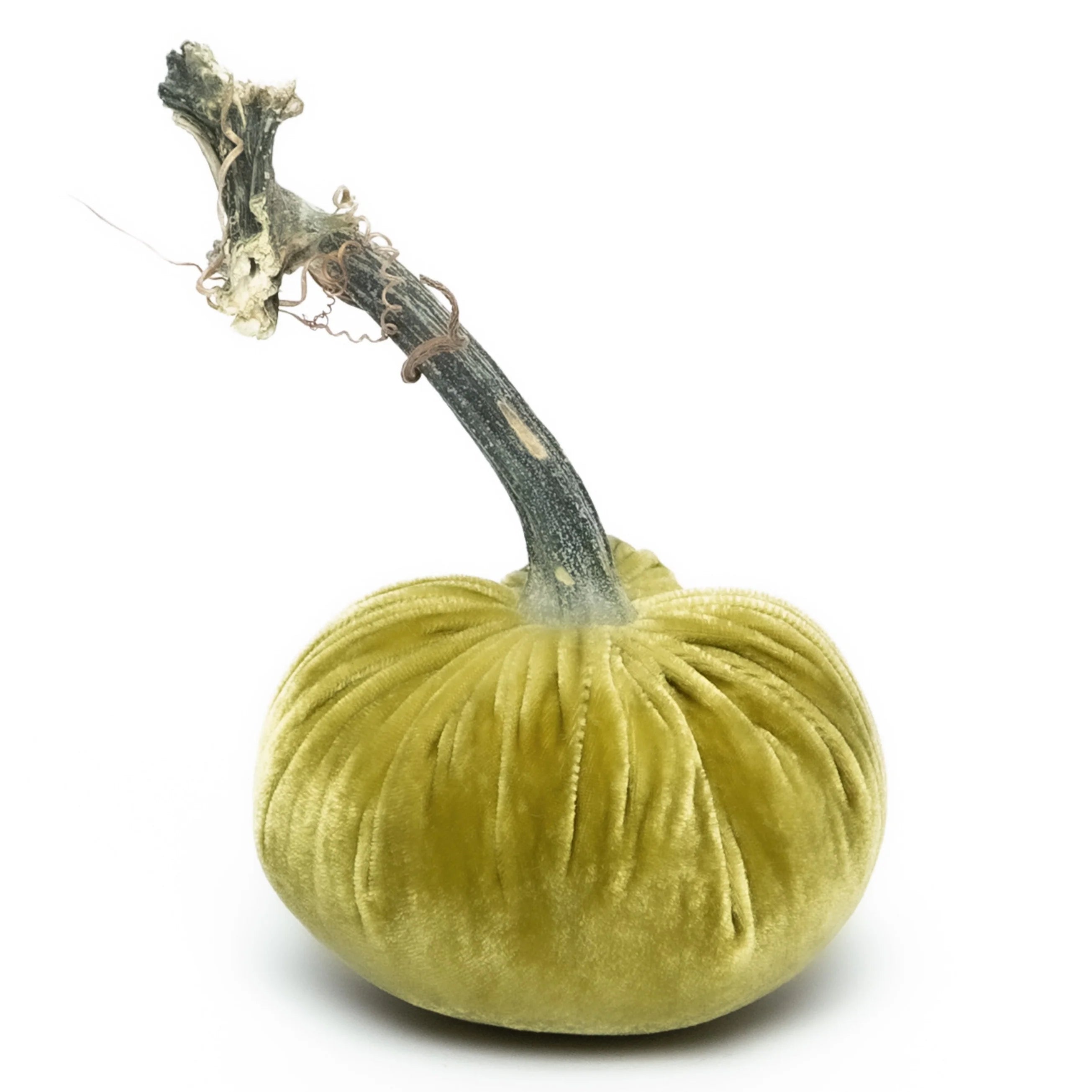 Velvet Pumpkin