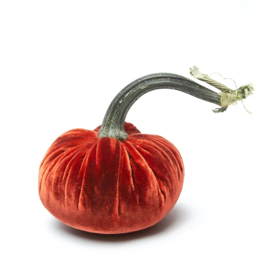 Velvet Pumpkin
