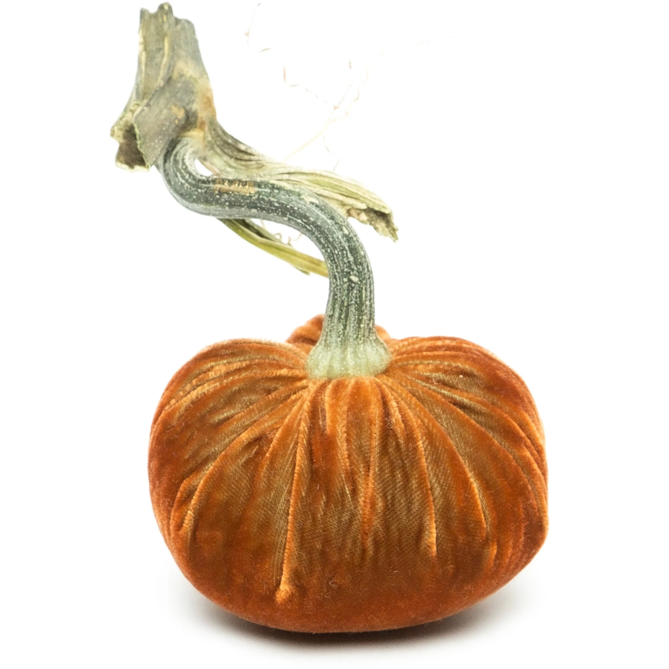 Velvet Pumpkin
