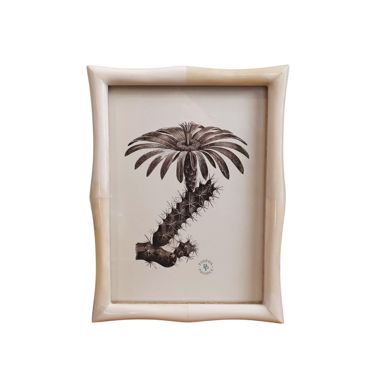 Oslo, natural frame, bone 5" x 7"