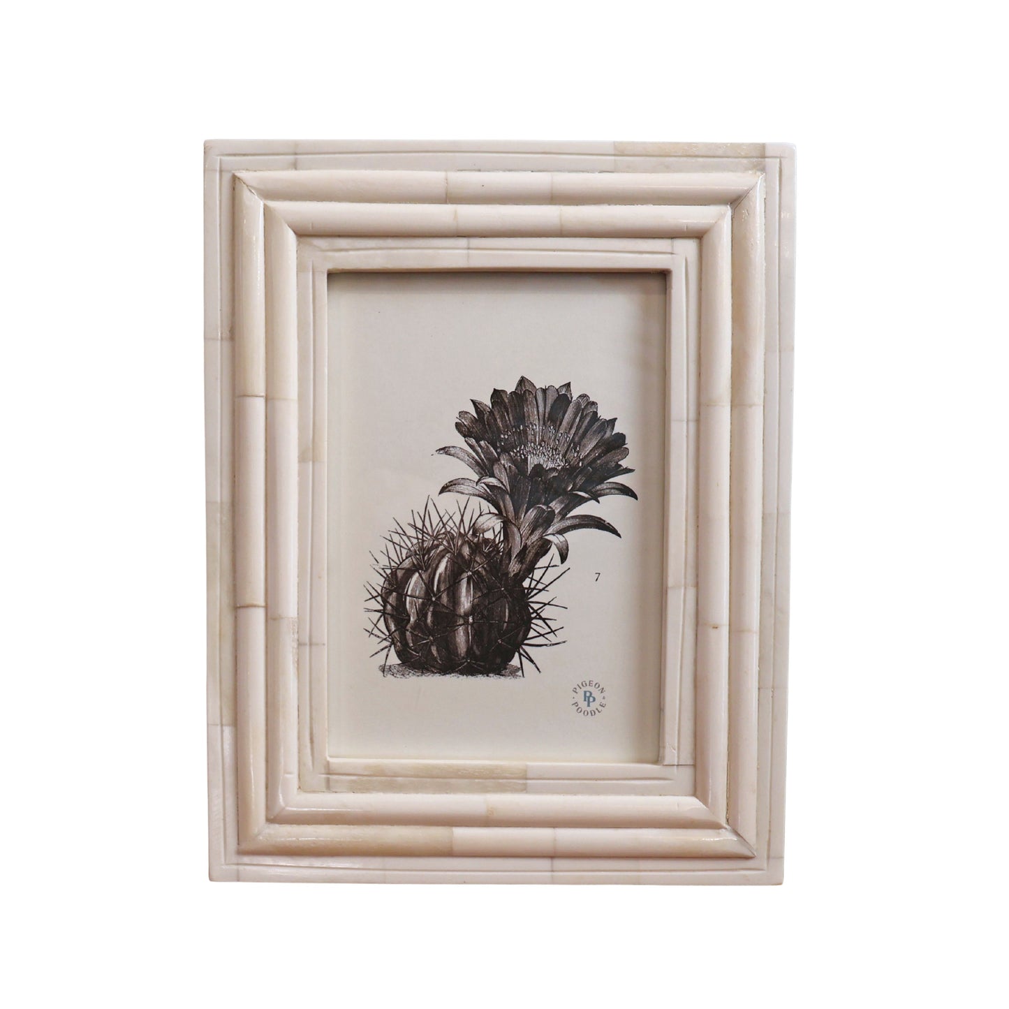 Novara, natural frame, bone 5" x 7"