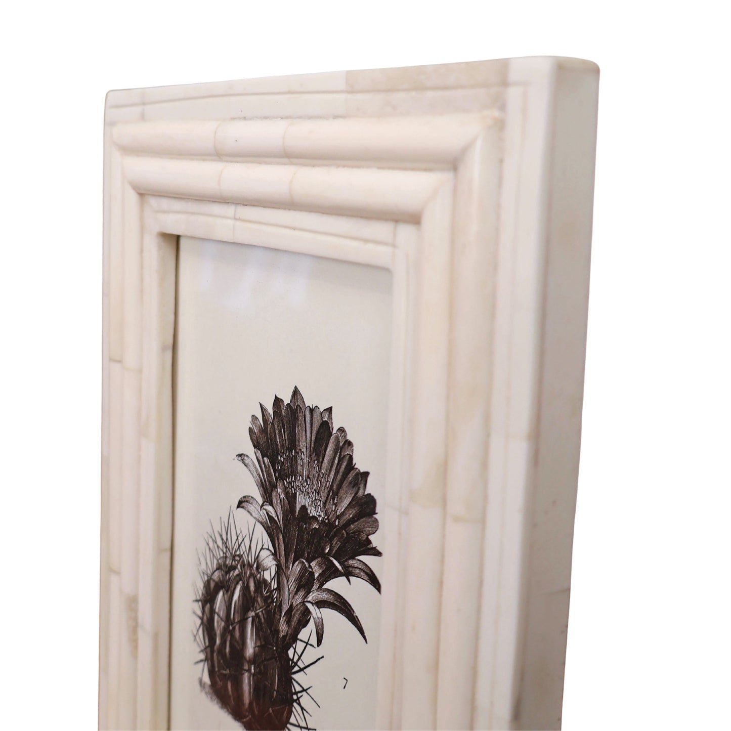 Novara, natural frame, bone 5" x 7"
